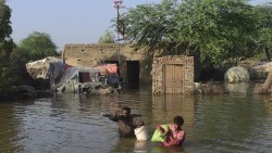 पाकिस्तानमा भारी वर्षाका कारण १४३ जनाको मृत्यु