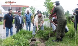 वीरगञ्ज महानगरको खाली जग्गामा पाँच सय बिरुवा रोपियो