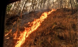 वर्षाले सबै ठाउँको डढेलो निभायो, शनिवारसम्म नै पानी पर्ने सम्भावना