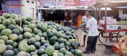 गर्मी बढेसँगै मधेसको बजारमा खरबुजाको व्यापार बढ्यो (खानुको फाइदा सहित)