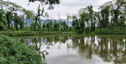 निकुुञ्जको पोखरीमा पानी सङ्कलन, जनावर र चराचुरुङ्गीलाई राहत