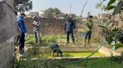 सिरहामा होटल चलाउँदै आएकी महिलाको घरभित्रै हत्या, -हत्यारा नजिक पुगिसकेको प्रहरीको दावी