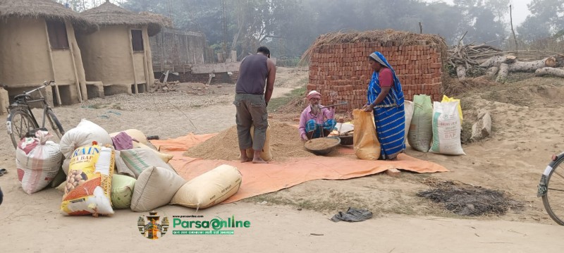 धान उत्पादनको पकेट क्षेत्र मानिने बारामा ११ अर्बको धान उत्पादन