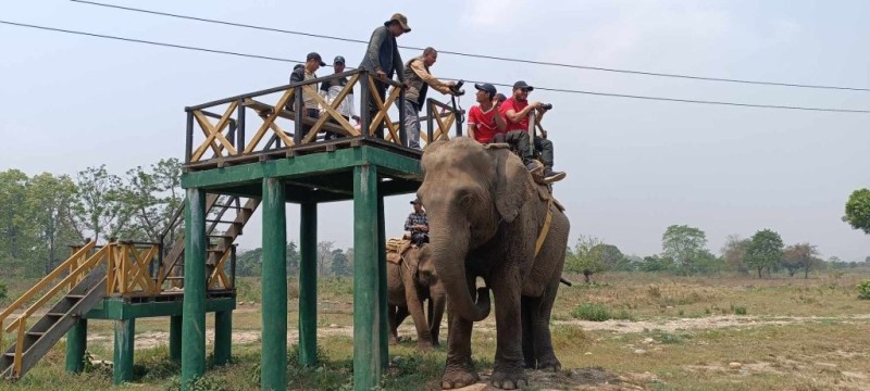 पर्सा निकुञ्जमा घुमेपछि भारतीय पर्यटकको मन हुन्छ खुसीले "गदगद"