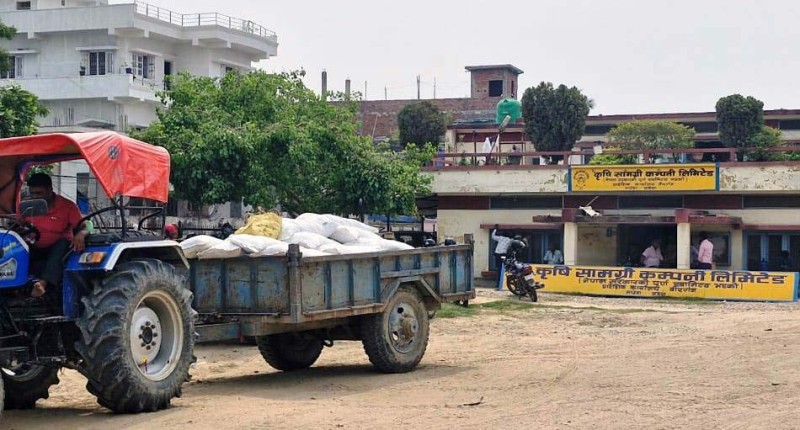 यस वर्ष बर्खे धान बालीका लागि रासायनिक मलको अभाव नहुने