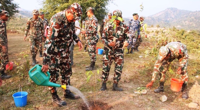 सेनाद्वारा मधेश प्रदेशमा वृक्षरोपण अभियान सञ्चालन