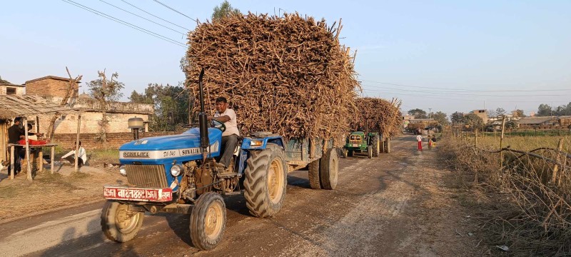 बारा र पर्साका उखु किसान  बाबा बैजुनाथ चिनीमिलद्वारा ठगिदै